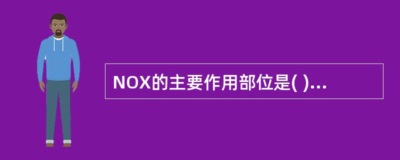 NOX的主要作用部位是( )。A、上呼吸道B、支气管C、眼结膜D、细支气管E、呼