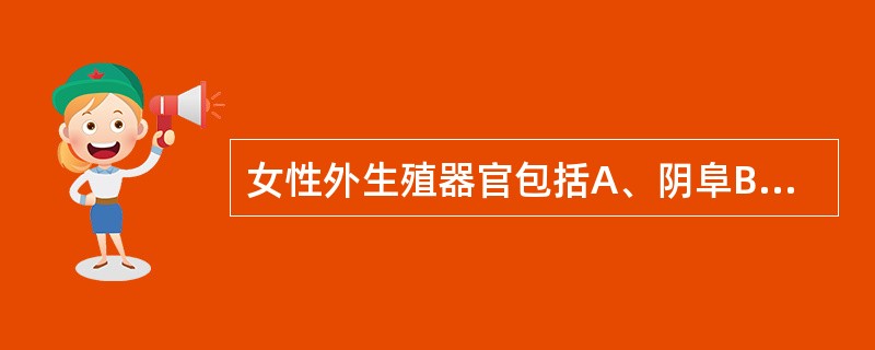 女性外生殖器官包括A、阴阜B、大小阴唇C、阴蒂D、前庭和会阴E、以上全有