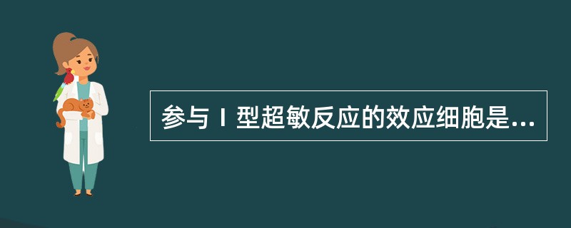 参与Ⅰ型超敏反应的效应细胞是A、肥大细胞B、B细胞C、巨噬细胞D、树突状细胞E、