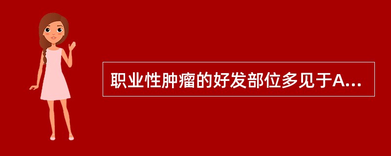 职业性肿瘤的好发部位多见于A、阴囊B、皮肤与呼吸系统C、皮肤与消化系统D、鼻窦E