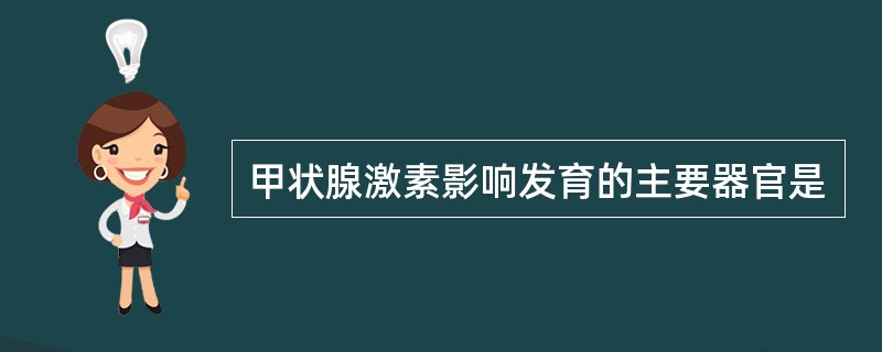 甲状腺激素影响发育的主要器官是