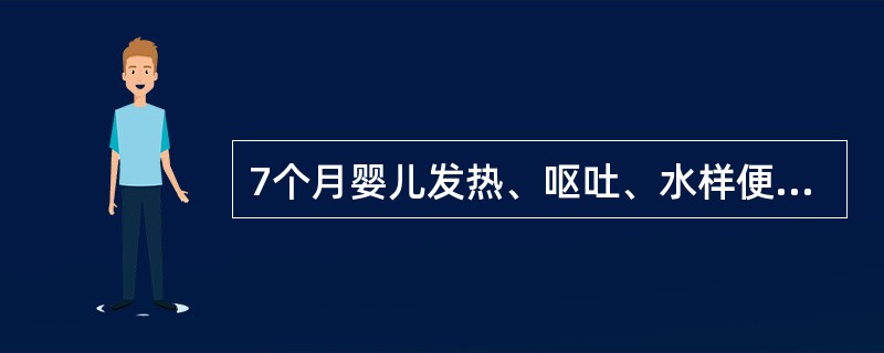 7个月婴儿发热、呕吐、水样便，每天7~8次，已三天，于11月15日入院。体查：体