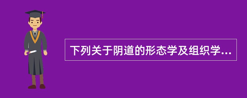 下列关于阴道的形态学及组织学特征的叙述，正确的是( )A、阴道下端比上端宽B、阴