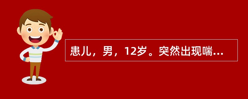 患儿，男，12岁。突然出现喘憋，呼吸困难，口唇发绀，呼气延长，肺部满布哮鸣音。母