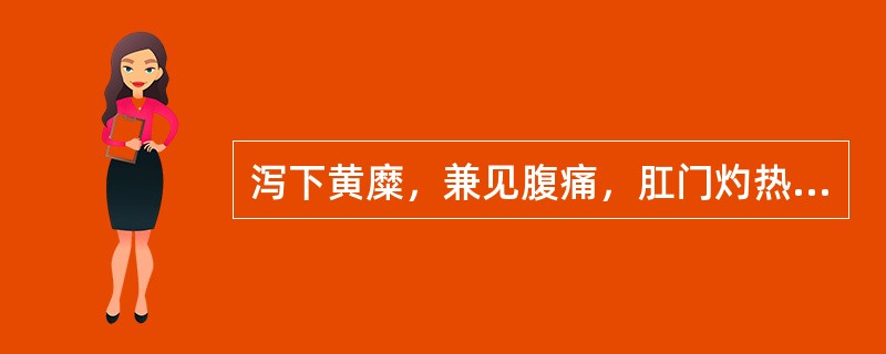 泻下黄糜，兼见腹痛，肛门灼热者是A、脾胃虚寒B、脾胃湿热C、肠风下血D、大肠湿热