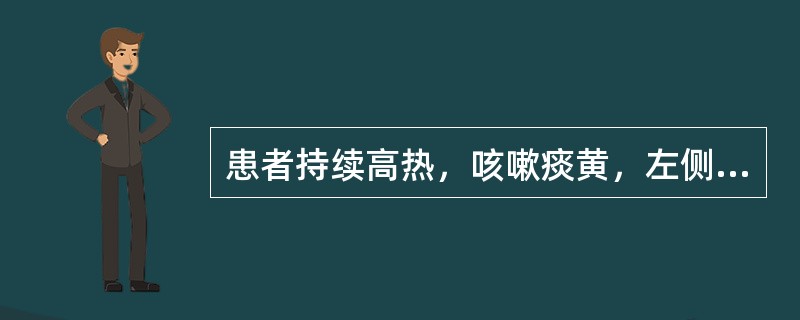 患者持续高热，咳嗽痰黄，左侧胸痛，舌红苔黄腻，脉滑数。其临床意义是A、表热证B、