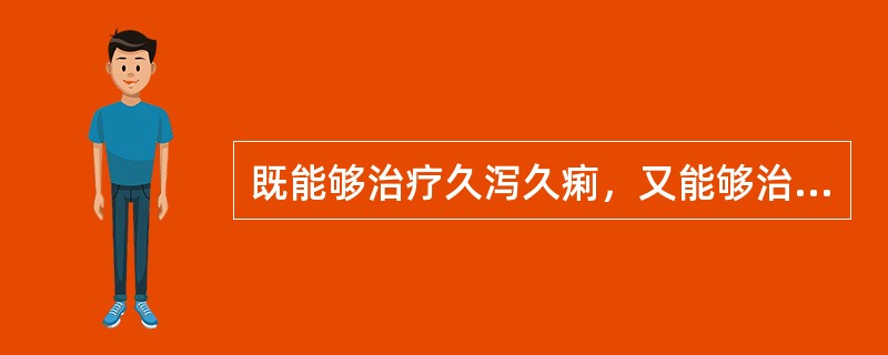 既能够治疗久泻久痢，又能够治疗久咳失音的药物是A、蝉蜕B、白术C、桔梗D、薄荷E