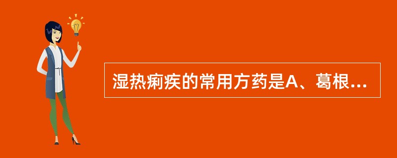 湿热痢疾的常用方药是A、葛根黄芩黄连汤B、玉女煎C、芍药汤D、白头翁汤E、泻白散