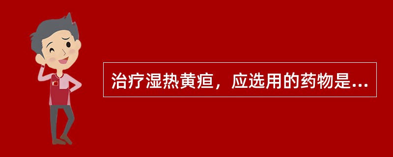 治疗湿热黄疸，应选用的药物是( )A、车前子B、金钱草C、通草D、薏苡仁E、地肤