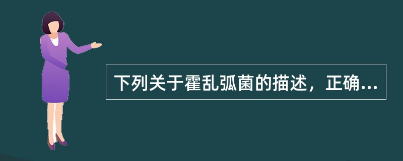 下列关于霍乱弧菌的描述，正确的是A、革兰染色阳性，有芽胞、荚膜和鞭毛B、产生的内