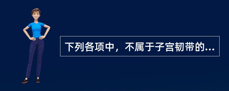 下列各项中，不属于子宫韧带的是A、圆韧带B、阔韧带C、骨盆漏斗韧带D、主韧带E、