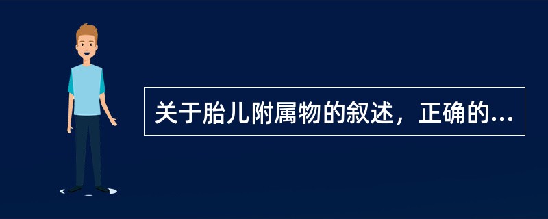 关于胎儿附属物的叙述，正确的是A、胎膜的外层是羊膜，胎膜的内层为绒毛膜B、胎盘由