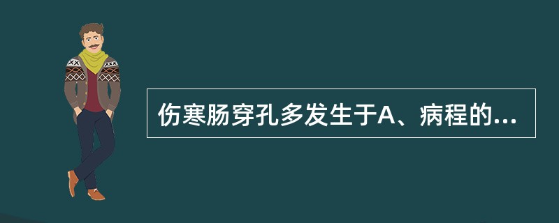 伤寒肠穿孔多发生于A、病程的第3周，在回肠B、病程的第4周，在结肠C、病程的第1