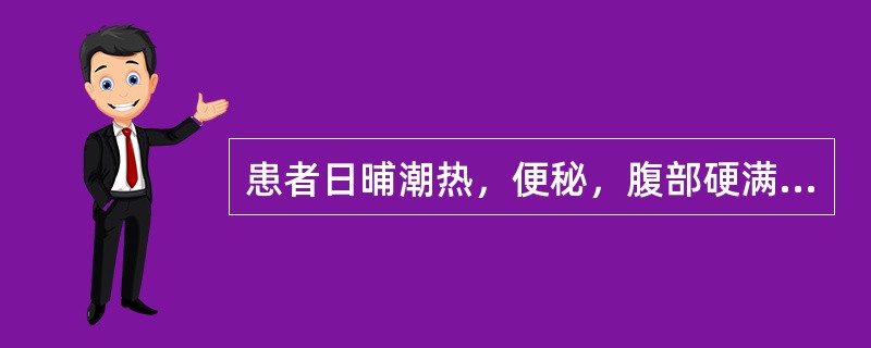 患者日晡潮热，便秘，腹部硬满疼痛，舌苔焦燥，脉沉数有力。其证型为