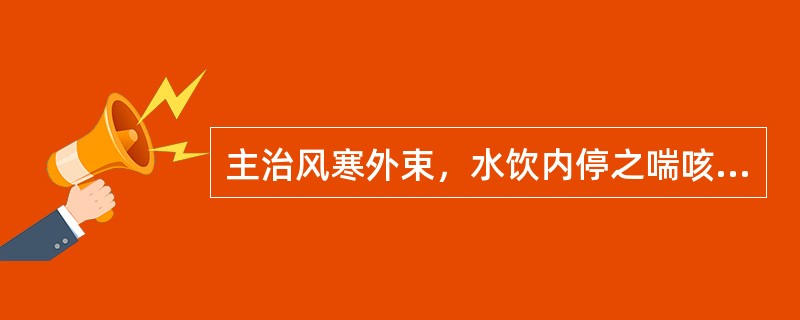 主治风寒外束，水饮内停之喘咳的方剂是