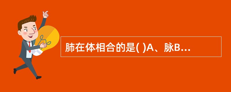 肺在体相合的是( )A、脉B、筋C、骨D、皮E、肉