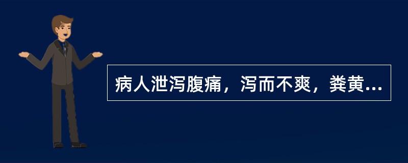 病人泄泻腹痛，泻而不爽，粪黄褐而臭，肛门灼热，烦渴，小便黄，舌苔黄腻，脉滑数。证