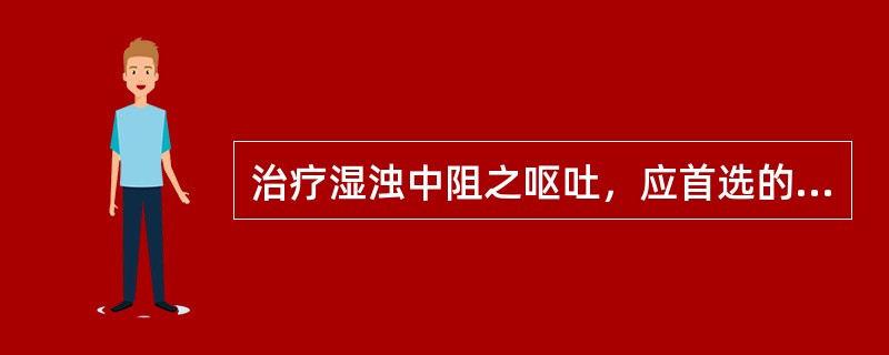 治疗湿浊中阻之呕吐，应首选的药物是( )A、紫苏B、香薷C、生姜D、黄连E、藿香