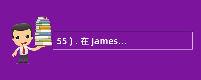 55 ) . 在 James Mrtin 方法执行过程中,需对企业的实体进行分析