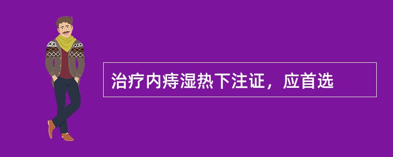 治疗内痔湿热下注证，应首选