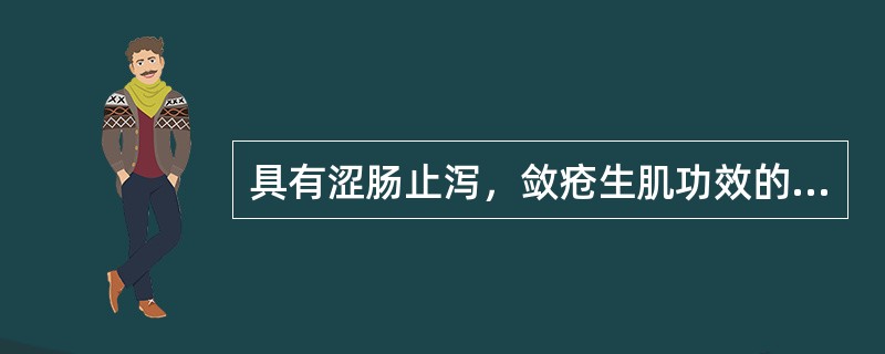 具有涩肠止泻，敛疮生肌功效的药物是