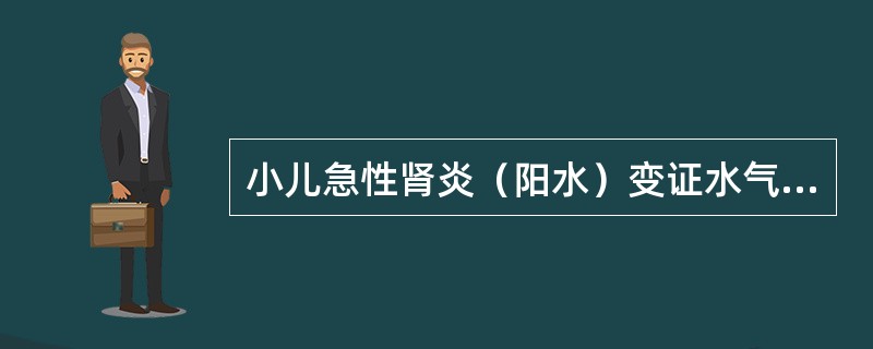 小儿急性肾炎（阳水）变证水气上凌心肺证治疗应首选的方剂是A、己椒苈黄丸B、防己茯