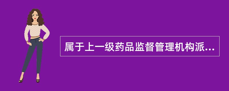 属于上一级药品监督管理机构派出机构的是( )。