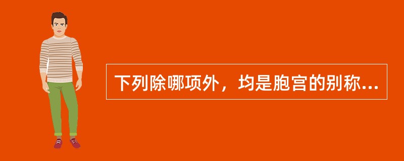 下列除哪项外，均是胞宫的别称A、子处B、女子胞C、子宫D、子门E、胞室