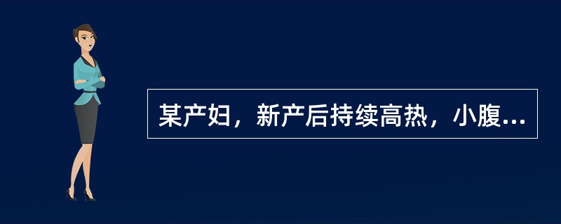 某产妇，新产后持续高热，小腹疼痛剧烈，拒按，恶露排出不畅，秽臭如脓，烦渴引饮，大