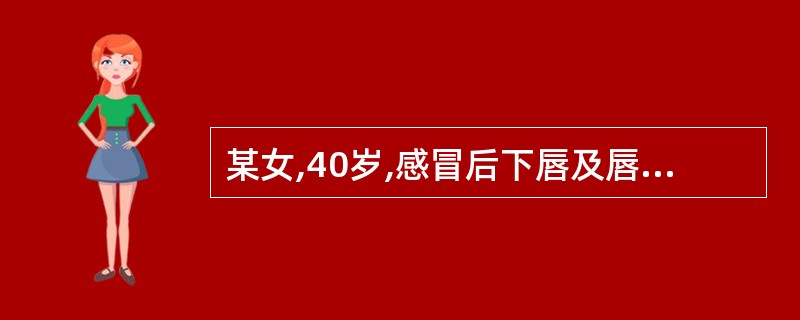 某女,40岁,感冒后下唇及唇周皮肤出现成簇的针头大小的水疱,破溃后结痂,局部灼痒