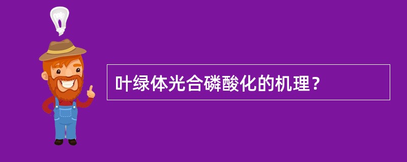 叶绿体光合磷酸化的机理？