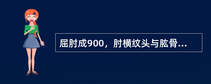 屈肘成900，肘横纹头与肱骨外上髁之间是（）穴位。