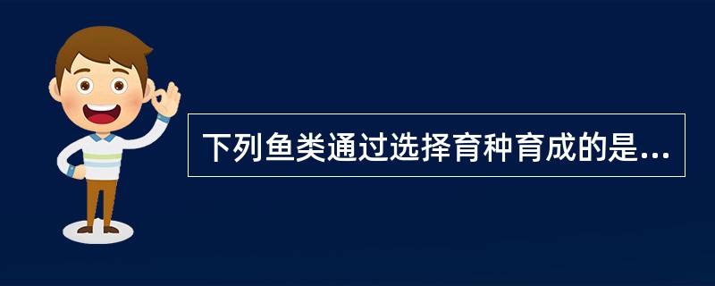 下列鱼类通过选择育种育成的是（）