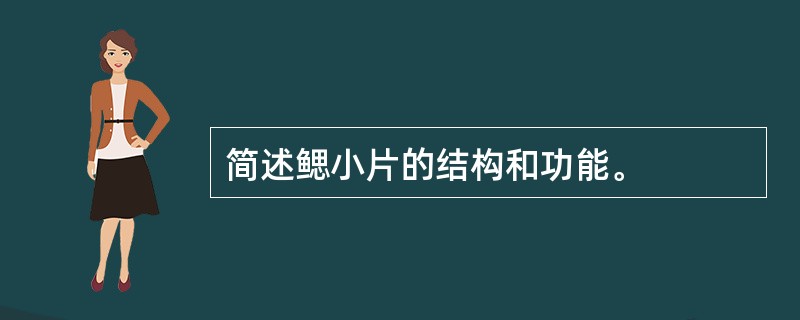 简述鳃小片的结构和功能。