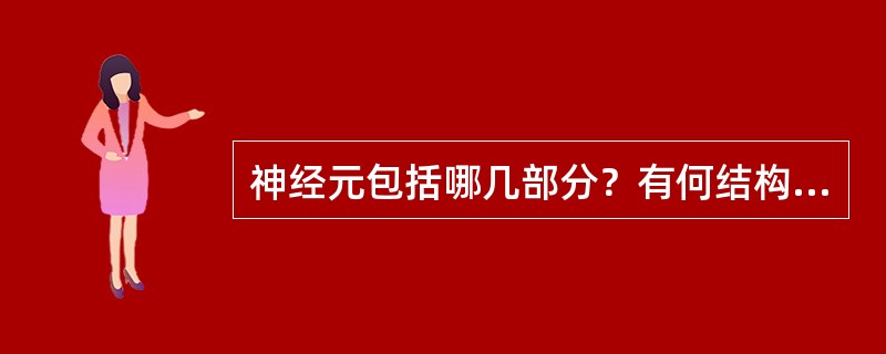 神经元包括哪几部分？有何结构特点？