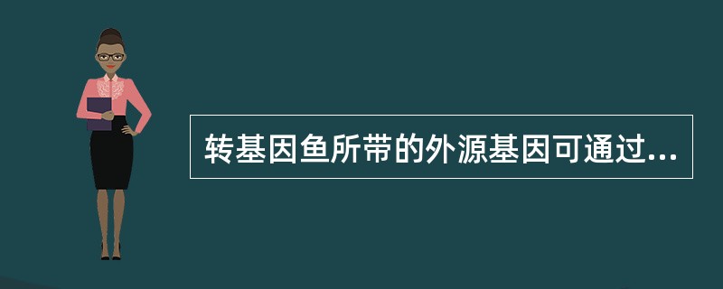 转基因鱼所带的外源基因可通过遗传传递给子代，但子代个体间外源基因的拷贝数差异很大