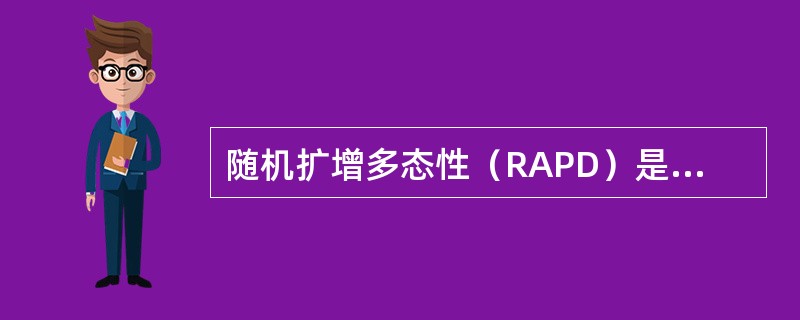 随机扩增多态性（RAPD）是共显性分子标记，可区分纯合子和杂合子。