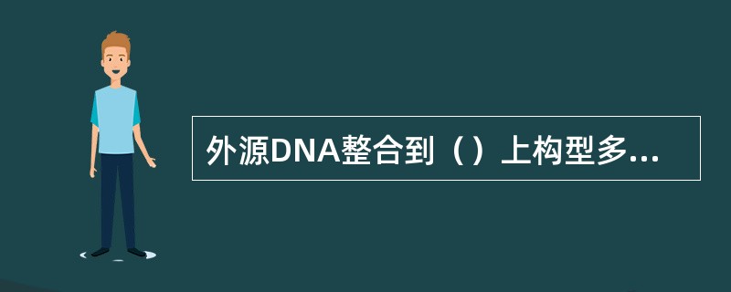 外源DNA整合到（）上构型多表现为（）多拷贝头尾相连的构型整合到染色体的一个位点