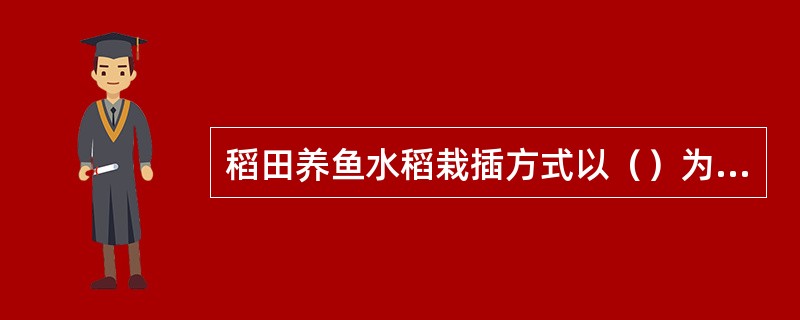 稻田养鱼水稻栽插方式以（）为宜。