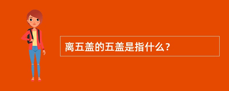 离五盖的五盖是指什么？