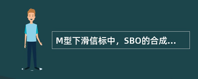 M型下滑信标中，SBO的合成信号由（）辐射的信号合成。