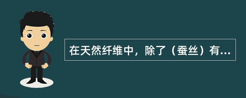 在天然纤维中，除了（蚕丝）有（长丝）和短纤维两种纱线形式以外，其它均为（）。