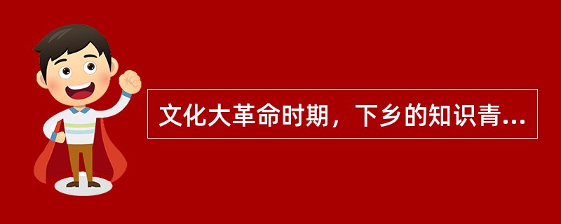 文化大革命时期，下乡的知识青年大都在（）上郑重地绣上鲜红的“为人民服务”五个大字