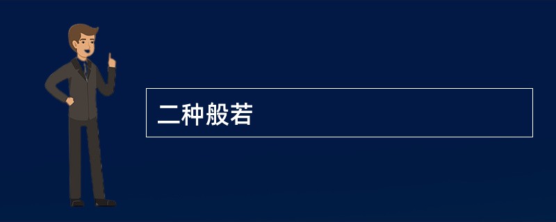 二种般若