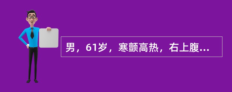 男，61岁，寒颤高热，右上腹痛，白细胞计数升高，CT检查如图，最可能的诊断是（）