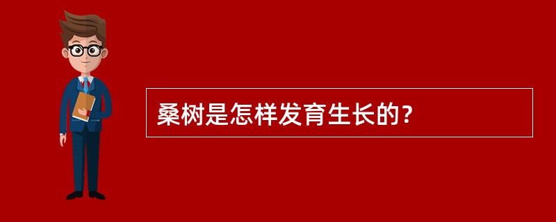 桑树是怎样发育生长的？