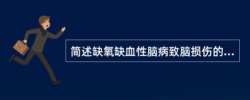 简述缺氧缺血性脑病致脑损伤的主要特征。
