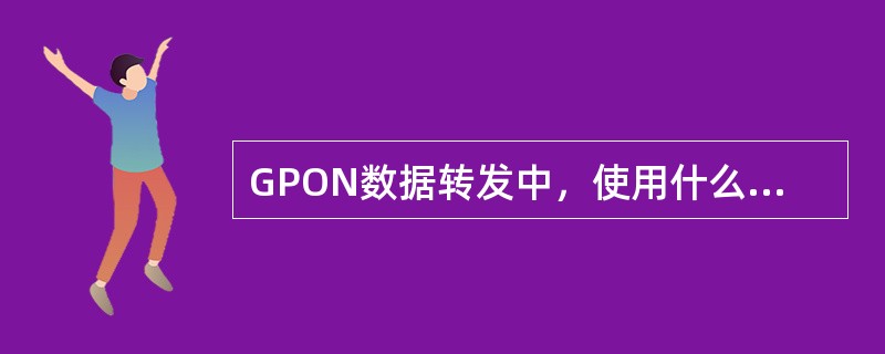 GPON数据转发中，使用什么来区分不同的业务（）