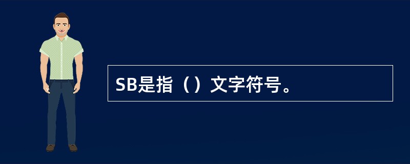 SB是指（）文字符号。