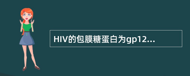 HIV的包膜糖蛋白为gp120和gp41。_____________为外膜蛋白，